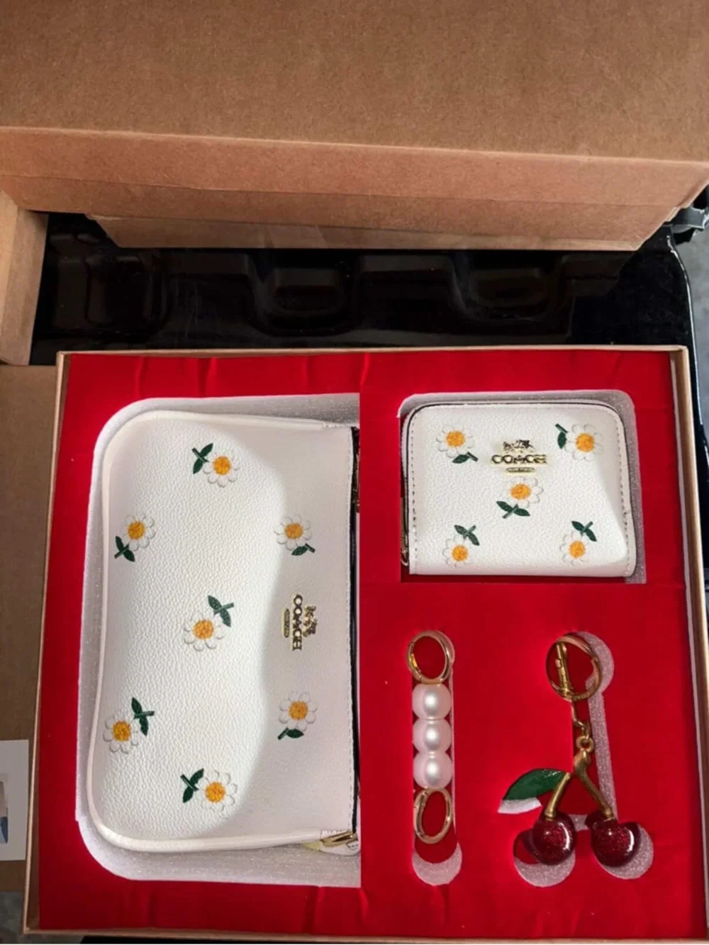 Coach - Picture 4 of 9